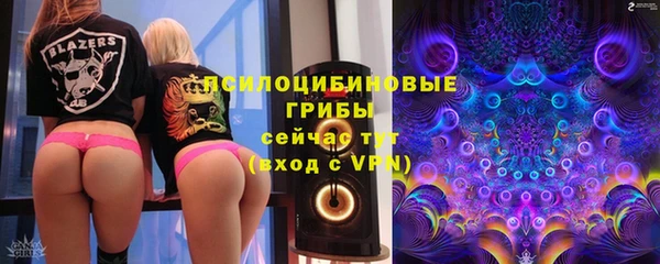 СК Гусь-Хрустальный