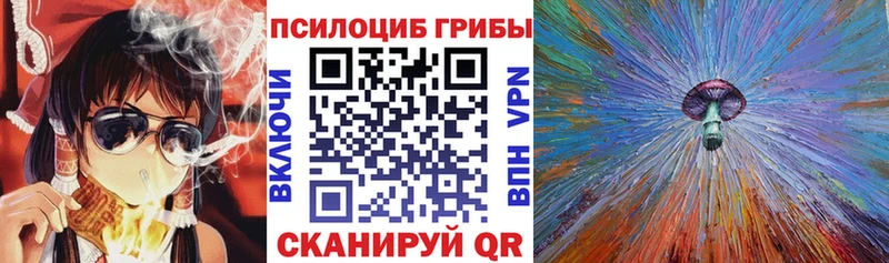Галлюциногенные грибы Magic Shrooms  как найти закладки  Донской 