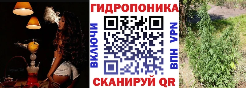 где купить   Донской  Каннабис Amnesia 